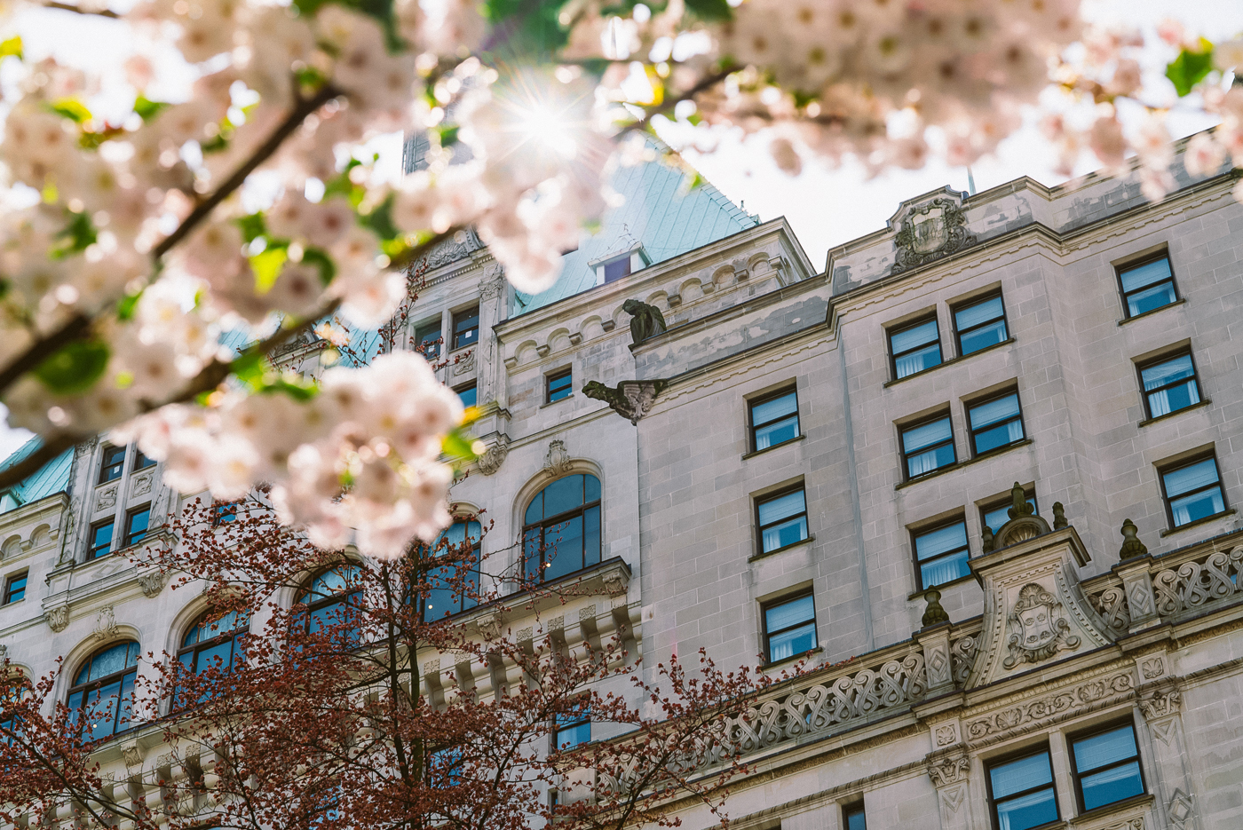 Emily Carr Tea: Drinks Menu - Fairmont Hotel Vancouver